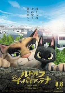 黑猫鲁道夫