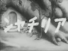 アリチャン