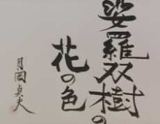 娑羅双樹の花の色