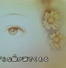 キャンディの夢