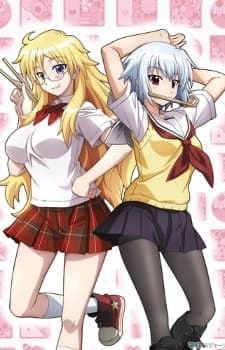 便・当