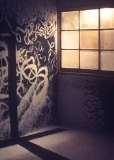部屋/形态