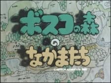 ボスコの森のなかまたち