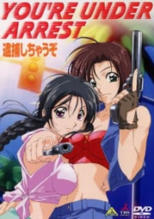 逮捕しちゃうぞ イン アメリカ