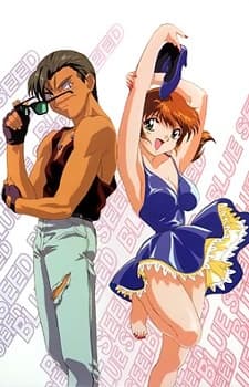 ブルーシード 1.5