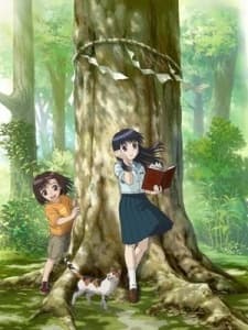 もっけ 特典