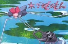 水蜘蛛纹纹