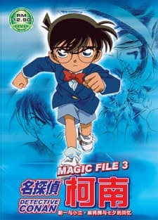 名探偵コナン Magic File 3 新一と蘭 麻雀牌と七夕の思い出