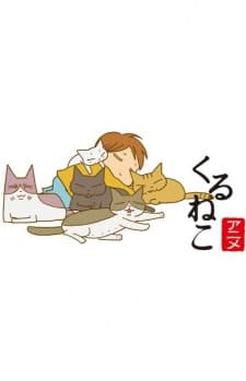 来来猫