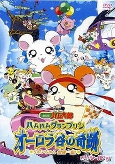 とっとこハム太郎公式サイト　ハムハムグランプリン　オーロラ谷の奇跡　〜リボンちゃん危機一髪！〜