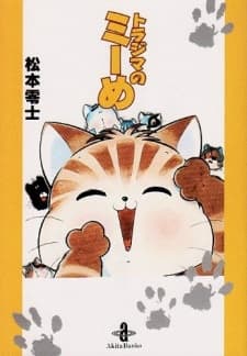 花纹小猫米君