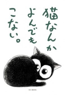 为什么猫都叫不来