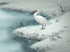 トキ この地球（ほし）の未来を見つめて
