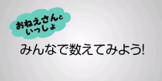 フカシギの数え方