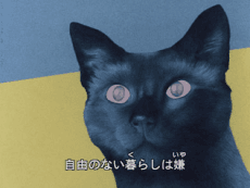 キャッツ・アイ・ラブ