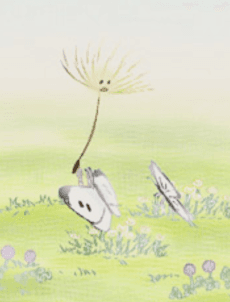 わたげのお散步