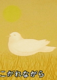 鳩の詩