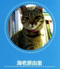 海老原由里