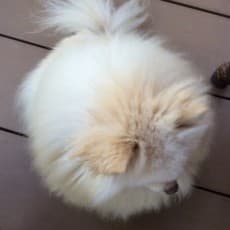 あき