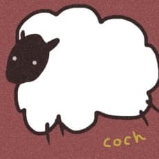 Coch