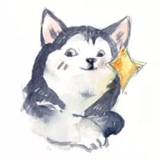 言归正传