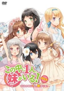この中に1人、妹がいる!兄、妹、恋人