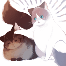 ハノカゲ